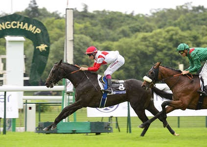 Actualités Hippiques